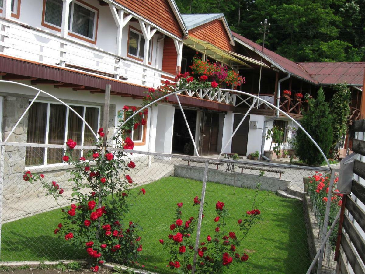 Pensiunea Amo Vălenii de Munte Extérieur photo