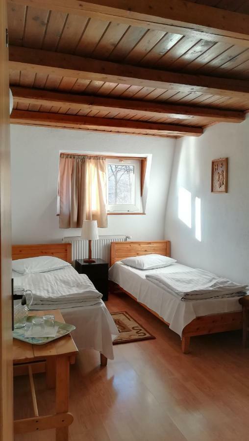 Pensiunea Amo Vălenii de Munte Extérieur photo